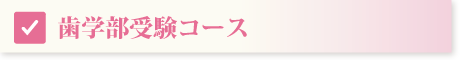 コース案内