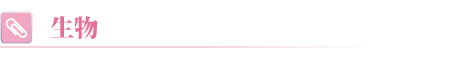 私立医学部受検予備校メデュカパスの合格実績