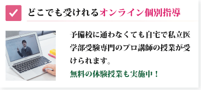 オンライン個別指導